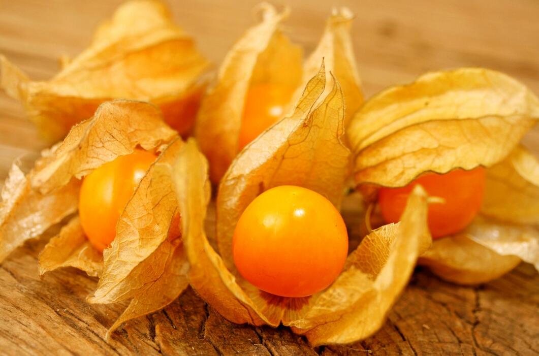 農(nóng)業(yè)自動(dòng)氣象站助力菇娘規(guī)?；N植